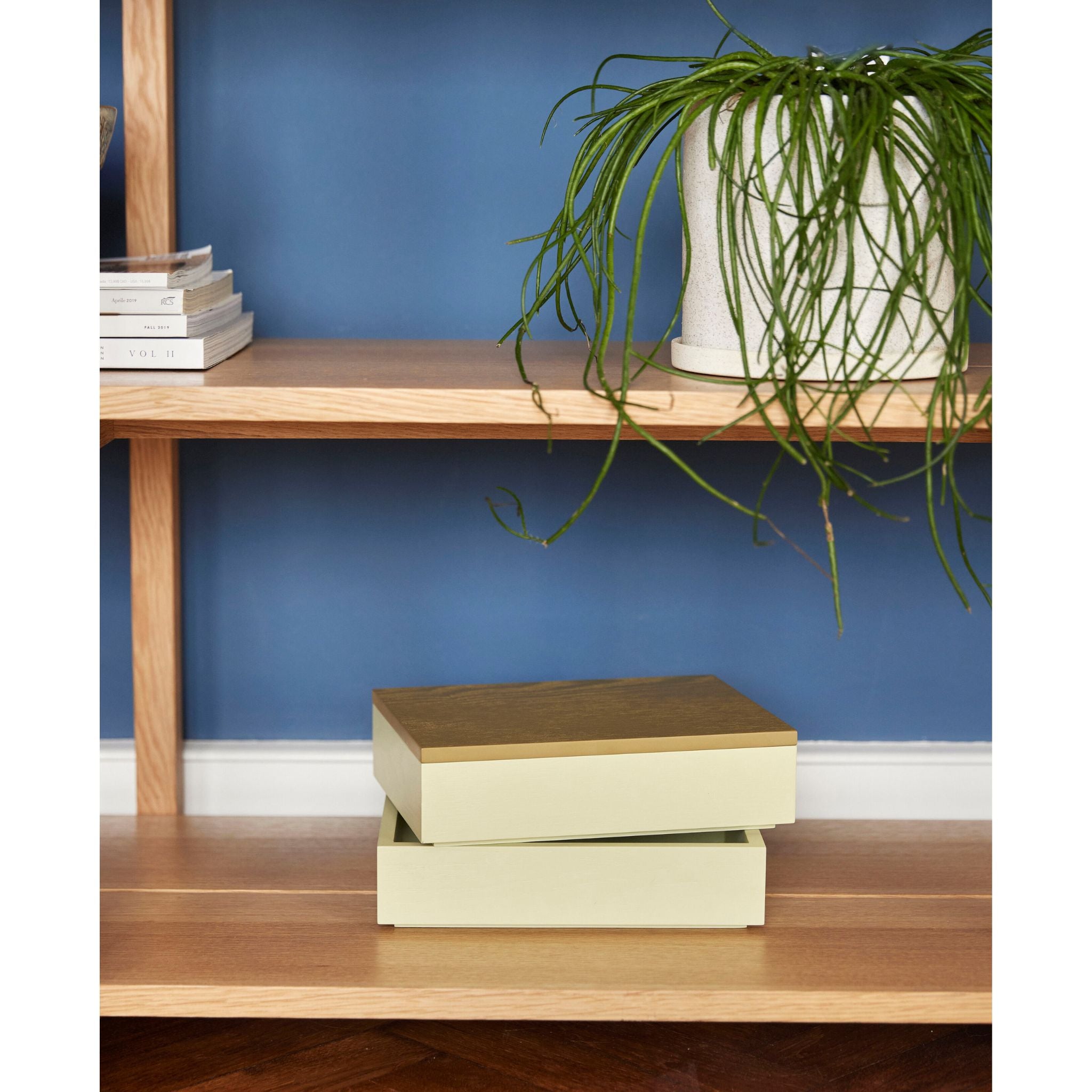 Libre Aufbewahrungsbox Hellgrün