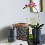 Beide Seed Töpfe, einer mit Stiften und einer mit einer Orchidee.